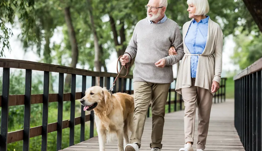 Older couple outside walking their dog